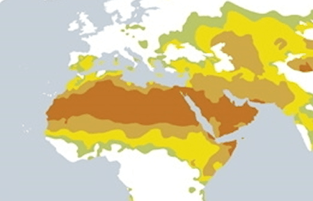 Global Aridity (Ministry of the Environment, Government of Japan)